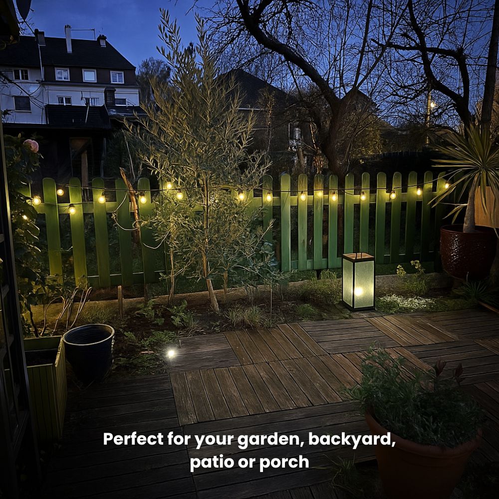 Solar Festoon Lights